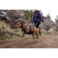 Ruffwear Geschirr Web Master Purple Rain -Pet Verkauf ruffwear geschirr web master purple rain web 11