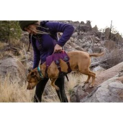 Ruffwear Geschirr Web Master Purple Rain -Pet Verkauf ruffwear geschirr web master purple rain web 8