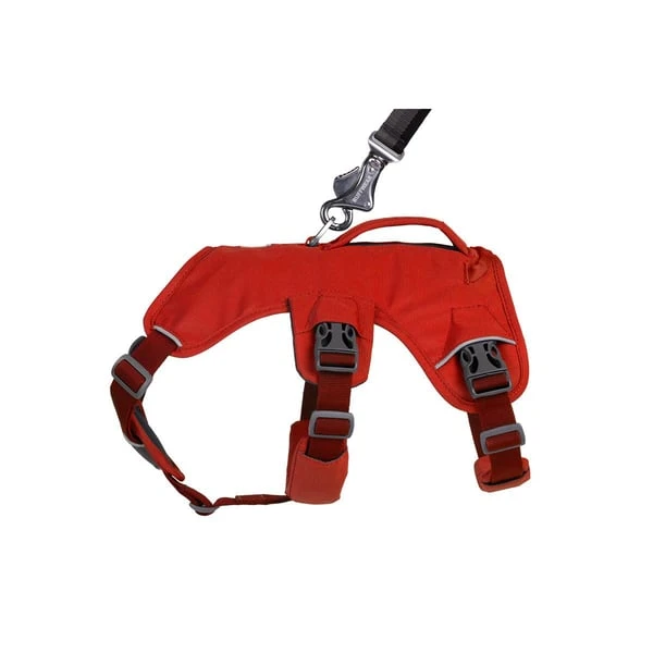 Ruffwear Geschirr Web Master Red Sumac 6 Ruffwear Geschirr Web Master Red Sumac – Bild 6