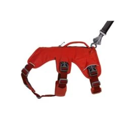 Ruffwear Geschirr Web Master Red Sumac 15 Ruffwear Geschirr Web Master Red Sumac -Pet Verkauf ruffwear geschirr web master red sumac web 7