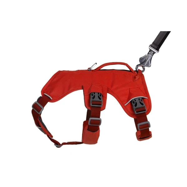 Ruffwear Geschirr Web Master Red Sumac 5 Ruffwear Geschirr Web Master Red Sumac – Bild 5