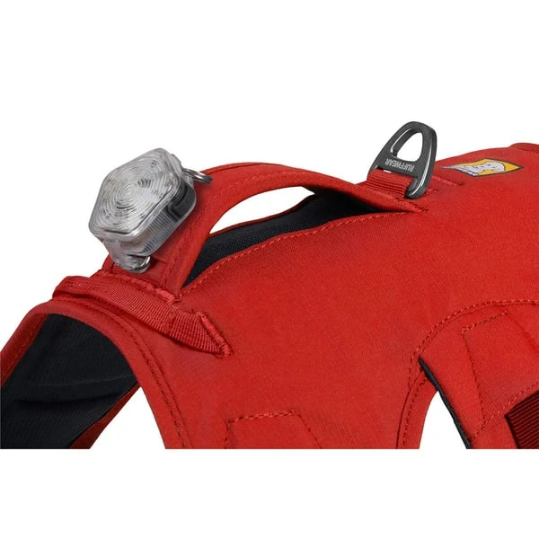 Ruffwear Geschirr Web Master Red Sumac 9 Ruffwear Geschirr Web Master Red Sumac – Bild 9