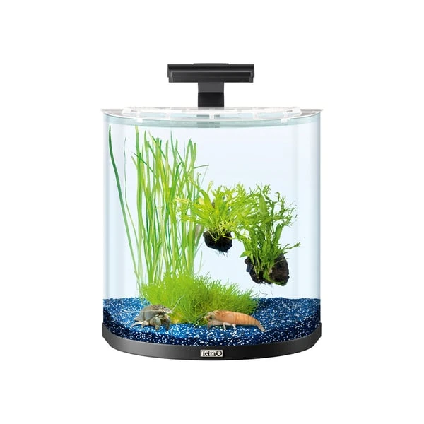 Tetra AquaArt Explorer Line Halfmoon Komplett-Set 30l 1 Tetra AquaArt Explorer Line Halfmoon Komplett-Set 30l