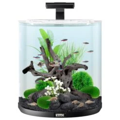 Tetra AquaArt Explorer Line Halfmoon Komplett-Set 60l 9 Tetra AquaArt Explorer Line Halfmoon Komplett-Set 60l -Pet Verkauf tetra aquaart explorer line halfmoon komplett set 60l weiss 2