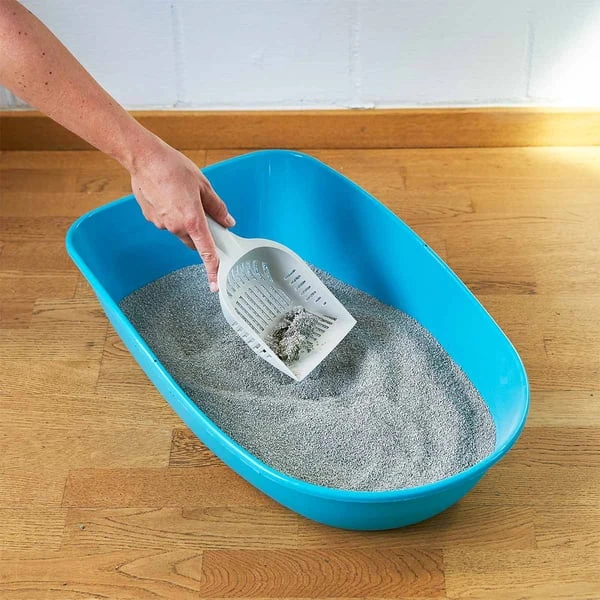 ZooRoyal Tigrooo Mit Babypuderduft 2 ZooRoyal Tigrooo Mit Babypuderduft – Bild 2