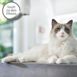 ZooRoyal Tigrooo Mit Babypuderduft 10 ZooRoyal Tigrooo Mit Babypuderduft -Pet Verkauf tigrooo babypuderduft neu 12kg 3