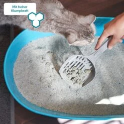 ZooRoyal Tigrooo Mit Babypuderduft 13 ZooRoyal Tigrooo Mit Babypuderduft -Pet Verkauf tigrooo babypuderduft neu 12kg 6