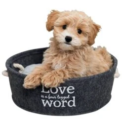 Trixie Filzschlafplatz Lian In Grau 8 Trixie Filzschlafplatz Lian In Grau -Pet Verkauf trixie bett lian 2