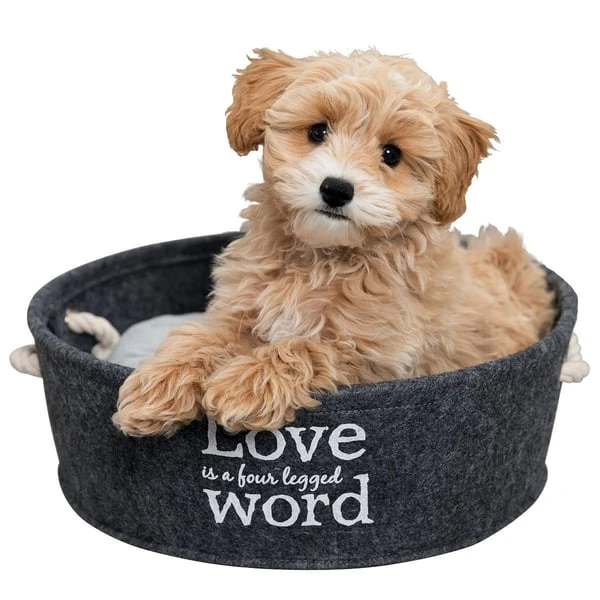 Trixie Filzschlafplatz Lian In Grau 4 Trixie Filzschlafplatz Lian In Grau – Bild 4