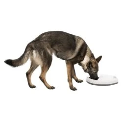 Trixie Futterautomat TX5 21 Trixie Futterautomat TX5 -Pet Verkauf trixie tx5 futterautomat hund frisst