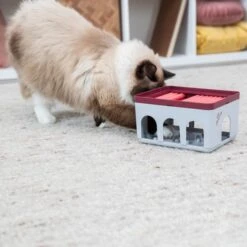 Trixie Cat Activity Rod Box 5 Trixie Cat Activity Rod Box -Pet Verkauf trixie cat activity rod box 3