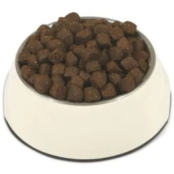 Vollmer's Crossis Trockenfutter 5 Vollmer's Crossis Trockenfutter -Pet Verkauf vollmers crossis trockenfutter 15kg 3