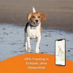Weenect Dogs 2 - GPS Tracker Für Hunde -Pet Verkauf weenect dog2 3