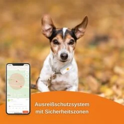 Weenect Dogs 2 - GPS Tracker Für Hunde -Pet Verkauf weenect dog2 5