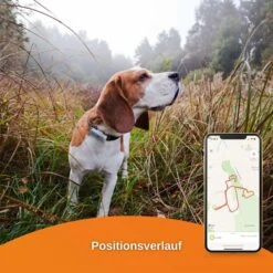 Weenect Dogs 2 - GPS Tracker Für Hunde -Pet Verkauf weenect dog2 7