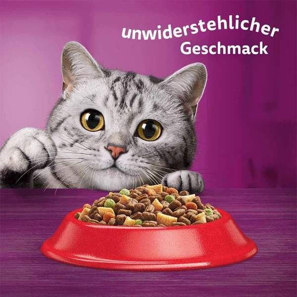 Whiskas Trocken Adult 1+ Mit Rind 3,8kg 8 Whiskas Trocken Adult 1+ Mit Rind 3,8kg – Bild 8