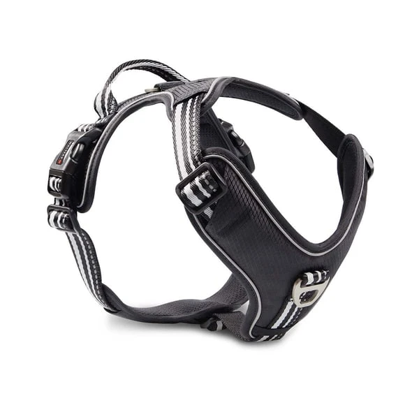 Wolters Geschirr Active Pro Schwarz 1 Wolters Geschirr Active Pro Schwarz