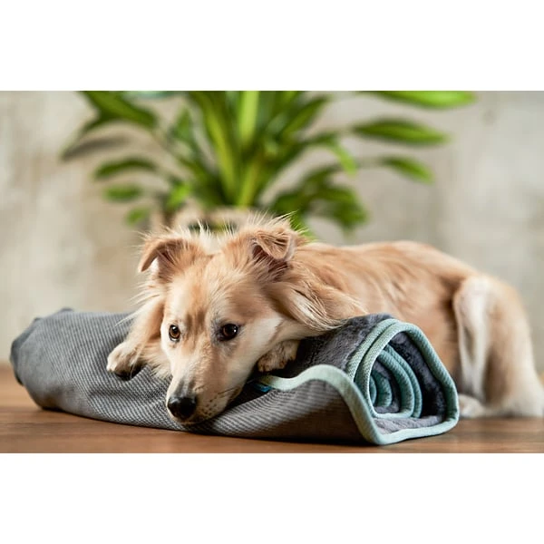 ZooRoyal Kuscheldecke Levi Anthrazit 120 X 100 Cm 9 ZooRoyal Kuscheldecke Levi Anthrazit 120 X 100 Cm – Bild 9