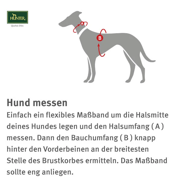 Hunter Neopren Geschirr Dunkelbraun/karamell 2 Hunter Neopren Geschirr Dunkelbraun/karamell – Bild 2