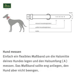 Hunter Elchlederhalsband Petit Für Kleine Hunde Chili Mit Strass 5 Hunter Elchlederhalsband Petit Für Kleine Hunde Chili Mit Strass -Pet Verkauf zooroyal einkaufshilfe hunter halsband 600x6005b7d023d581b7