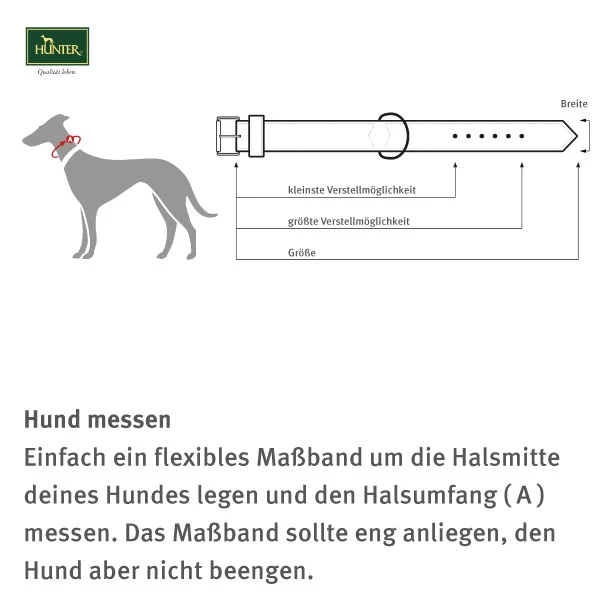 Hunter Elchlederhalsband Petit Für Kleine Hunde Chili Mit Strass 3 Hunter Elchlederhalsband Petit Für Kleine Hunde Chili Mit Strass – Bild 3