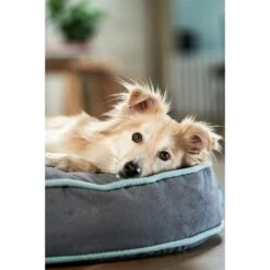 ZooRoyal Hundekissen Elias Anthrazit -Pet Verkauf zooroyal hundekissen elias anthrazit 4