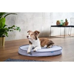 ZooRoyal Orthopädisches Hundekissen Elias Rund Grau -Pet Verkauf zooroyal hundekissen elias rund grau 5