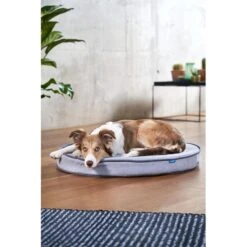 ZooRoyal Orthopädisches Hundekissen Elias Rund Grau -Pet Verkauf zooroyal hundekissen elias rund grau 7