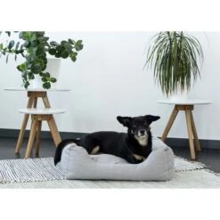 ZooRoyal In- & Outdoor Haustierbett Sam 61x48 Cm -Pet Verkauf zooroyal in und outdoor haustierbett sam 61x84cm