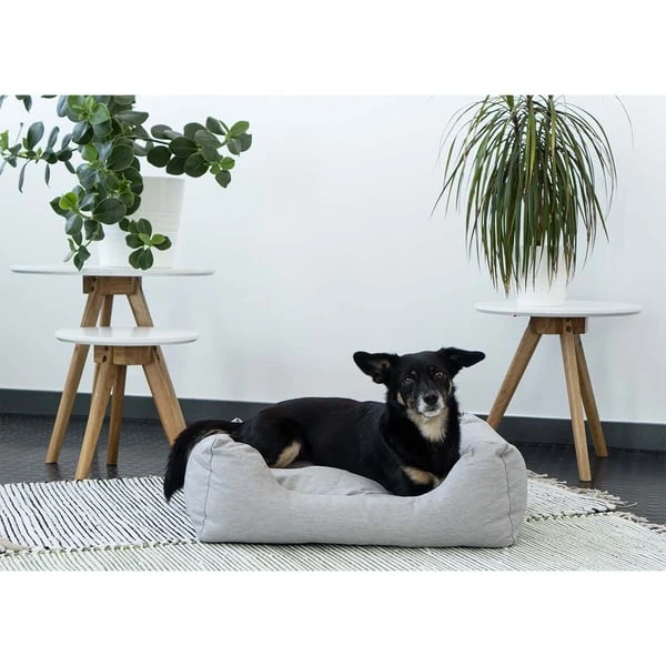 ZooRoyal In- & Outdoor Haustierbett Sam 61x48 Cm Grau 3 ZooRoyal In- & Outdoor Haustierbett Sam 61x48 Cm Grau – Bild 3