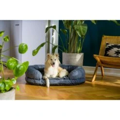 ZooRoyal Orthopädisches Hundebett Lasse -Pet Verkauf zooroyal orthopadisches hundebett lasse 6