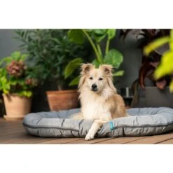 ZooRoyal Outdoorkissen Tamara -Pet Verkauf zooroyal outdoorkissen tamara 10