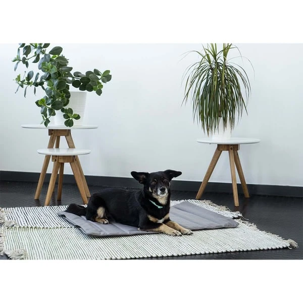 ZooRoyal Reisedecke Sam 75x60cm 3 ZooRoyal Reisedecke Sam 75x60cm â Bild 3