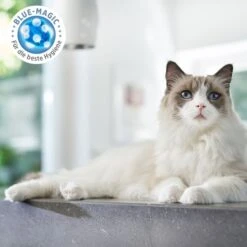 ZooRoyal Tigrooo Blue Magic -Pet Verkauf zooroyal tigrooo blue magic neu 3