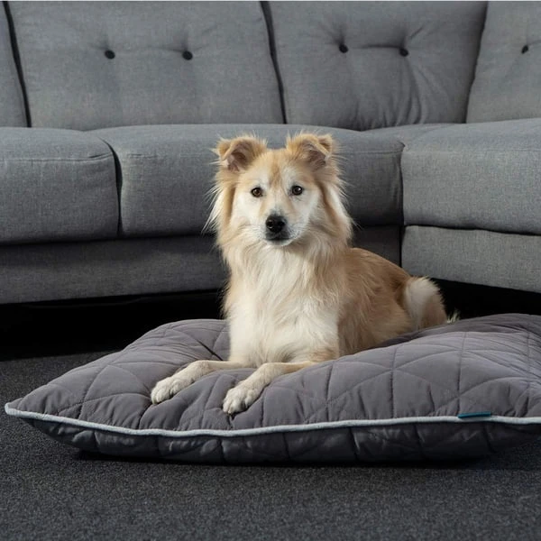 ZooRoyal Haustier Kuschelkissen Luna 75x60 Cm 3 ZooRoyal Haustier Kuschelkissen Luna 75x60 Cm – Bild 3