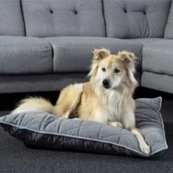 ZooRoyal Haustier Kuschelkissen Luna 75x60 Cm 7 ZooRoyal Haustier Kuschelkissen Luna 75x60 Cm -Pet Verkauf zooroyal kuschelkissen luna anthrazit web 4