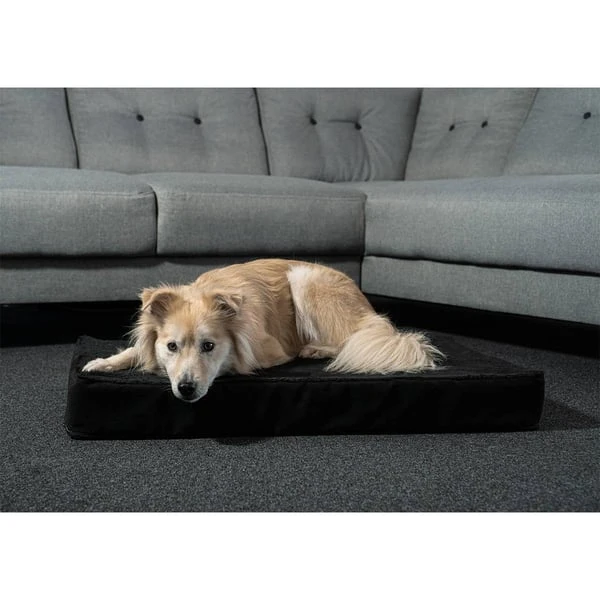 ZooRoyal Orthopädisches Premium Hundekissen Luna 6 ZooRoyal Orthopädisches Premium Hundekissen Luna – Bild 6